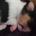 Sandra Webber - Facebook