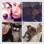 Sandra Weddle - @sandraweddle2811 - Instagram