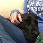 Sandra Weeden - @slw033 - Instagram