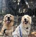 Sandra Weeden - Facebook