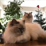Sandra Düßel-Wehner - @dusselwehner - Instagram