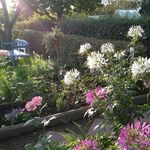 Sandra Wehner - @buddelflink135 - Instagram