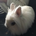 Sandra Weidner - @weidner1708 - Instagram