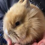 Sandra Weidner - @sandra.weidner.165 - Instagram