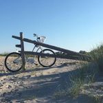 Sandra Weidner - @docsandy1 - Instagram