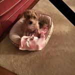 Sandra Weidner Klima - @sandraweidnerklima - Instagram