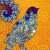 sandraweidner78 - @sandraweidner78 - TikTok