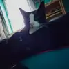 Sandra Weigel - @sandra.weigel - TikTok