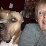 Sandra Weikel - @skweikel - Instagram