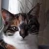 Sandra Weimer127 - @sandraweimer127 - TikTok