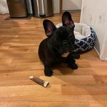Sandra Weiner - @weinersandra - Instagram