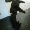 sandraweiner8 - @sandraweiner8 - TikTok
