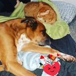 Sandra Weinert - @sandy_swb - Instagram
