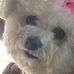 Sandra Weingartner - Facebook
