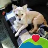 Sandy Weirich - @sandy.weirich - TikTok