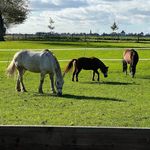 Sandra Weitz - @mein_schatzemann - Instagram