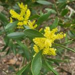 Sandy joy - @sandra.weldon.7545 - Instagram
