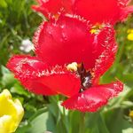 Sandra Klein - @sandra.weller.1276 - Instagram