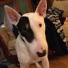 Sandra Weller - @brilliantweller - TikTok