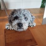 Sandra Wenger - @wenger4447 - Instagram