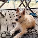 S. Werthebach - @sandrawerthebach - Instagram