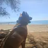 Sandra Werth - @sandrawerth - TikTok