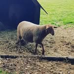 Sandra Werther - @sandra_werther - Instagram
