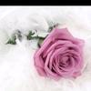 Sandra Western - @sandra.western0 - TikTok