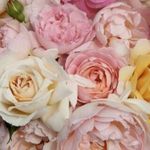 Sandra. - @sandra.westhoff - Instagram
