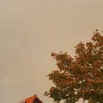 sandra westrich - @sandy_westy3 - Instagram