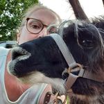 Sandra Wetzel - @sandwetz - Instagram