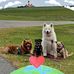 Sandra Wetzel - Facebook