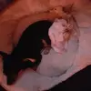 Sandra Wetzel - @sandra.wetzel - TikTok