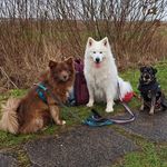 Sandra Wetzel - @sandrawetzel79 - Instagram