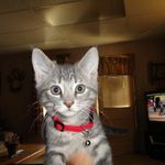 Sandra Wetzel Long - @wetzellong - Instagram