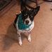 Sandra Wetzel Long - Facebook