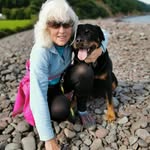 Sandra Wharton - @sgwharton - Instagram