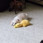 Sandra Tadla Whidden - @sandra.tadla.1 - Instagram