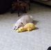 Sandra Tadla Whidden - Facebook