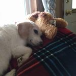 Sandra Whidden - @sandra_whidden - Instagram
