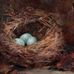 Sandra Whitby Art Studio - Facebook