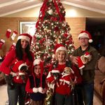 Sandra Norton Whitener - @sandrawhitener1 - Instagram