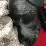 Sandra Whitmore - @sandra.whitmore.754 - Instagram