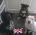 Sandra Whitmore - Facebook