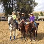 Sandra Whittaker - @whittaker1969 - Instagram