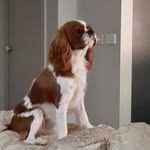 Sandra Whittaker - @sandrawhittaker34 - Instagram