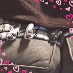 Gracie Sadie - @sandra.whittington.18 - Instagram