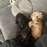 Sandra Whitwell - @sandrawhitwell - Instagram