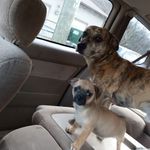 Sandy Wicker - @sandrawickee - Instagram