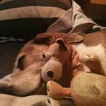 Sandra Wilbert - @sandra.wilbert.98 - Instagram
